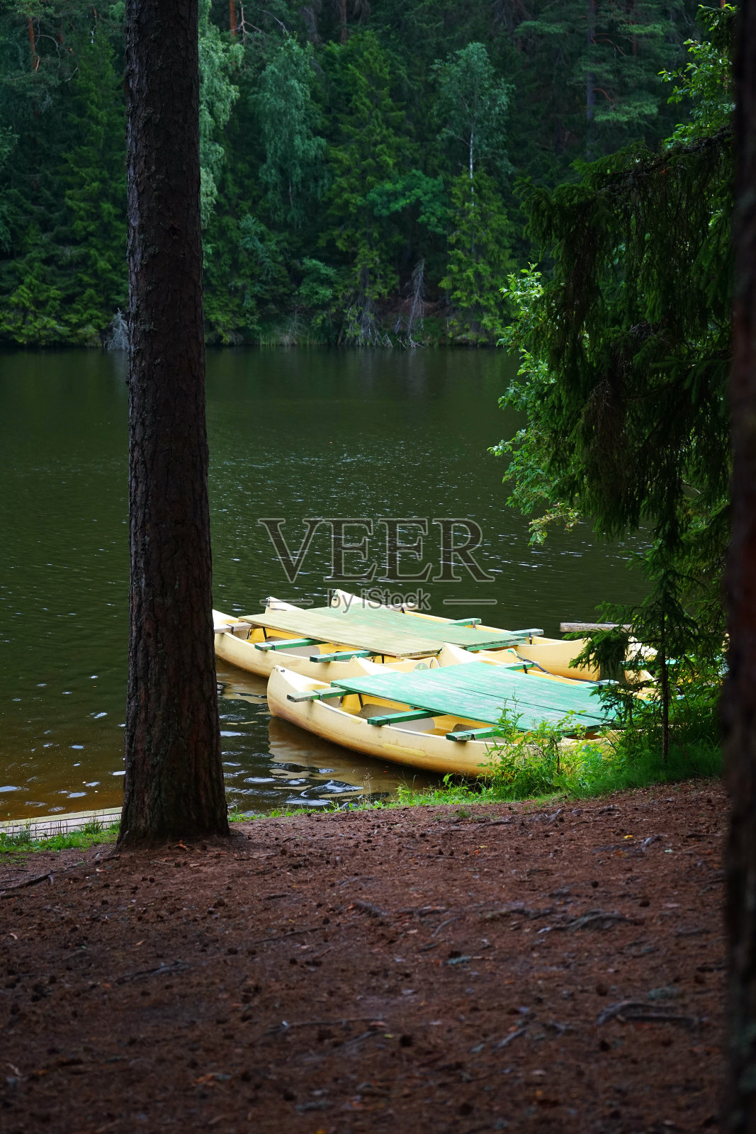 黄色的船靠近森林湖的岸边，背景是绿树照片摄影图片