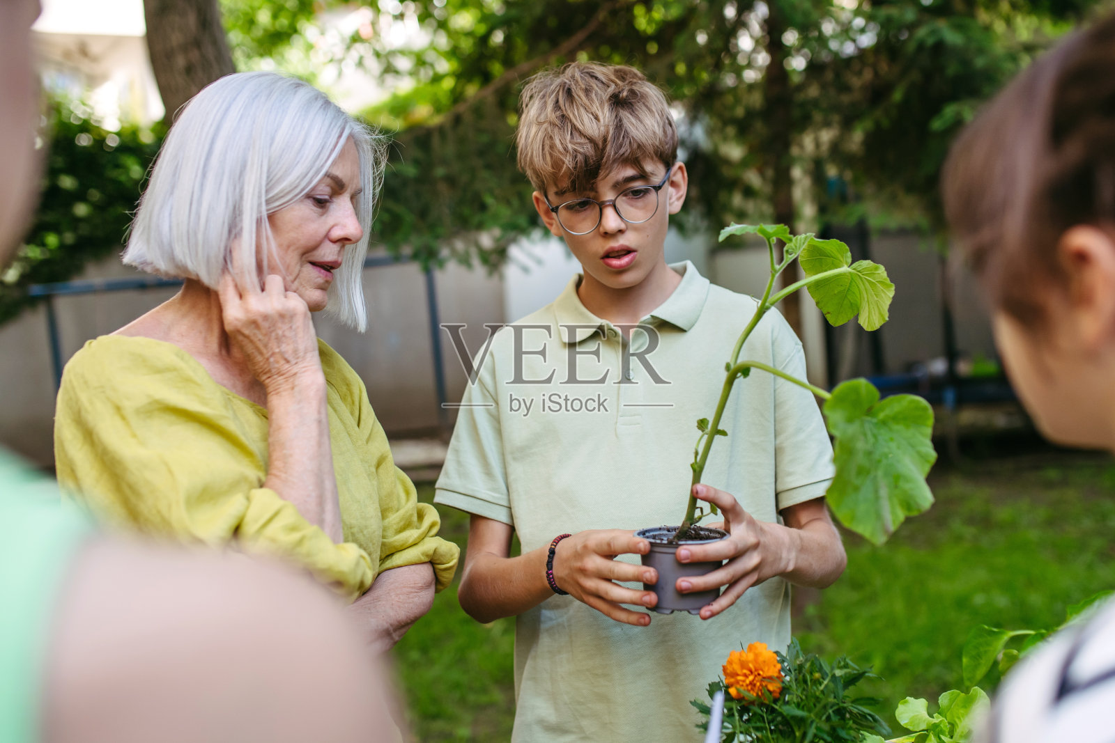 孩子们在学校花园的户外可持续教育课堂上学习蔬菜苗和园艺。体验式学习和生态素养的概念。照片摄影图片