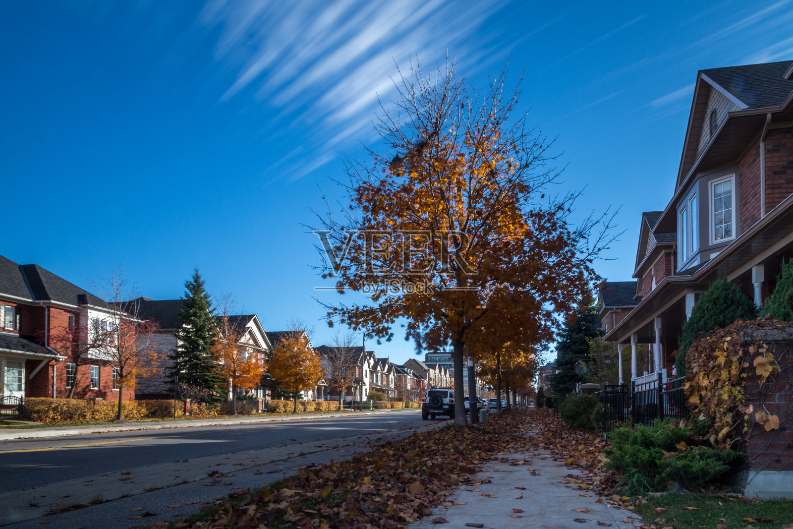 树木间的房子对着天空照片摄影图片