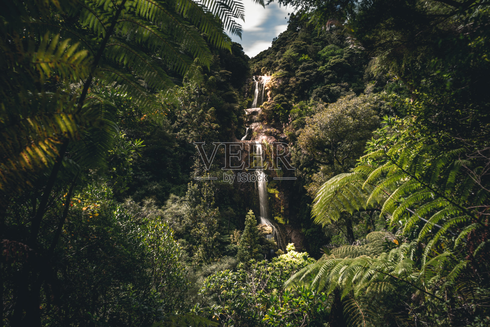 美丽的风筝瀑布位于新西兰奥克兰附近的丛林中照片摄影图片