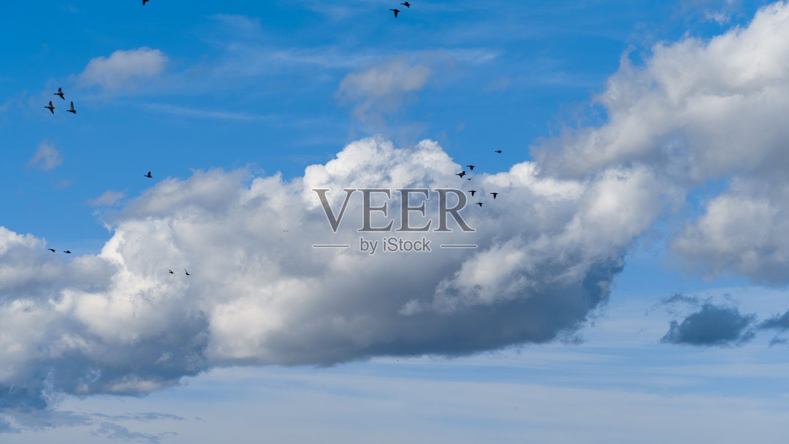 美丽的蓝天，柔和的白云和飞鸭作为抽象的背景照片摄影图片