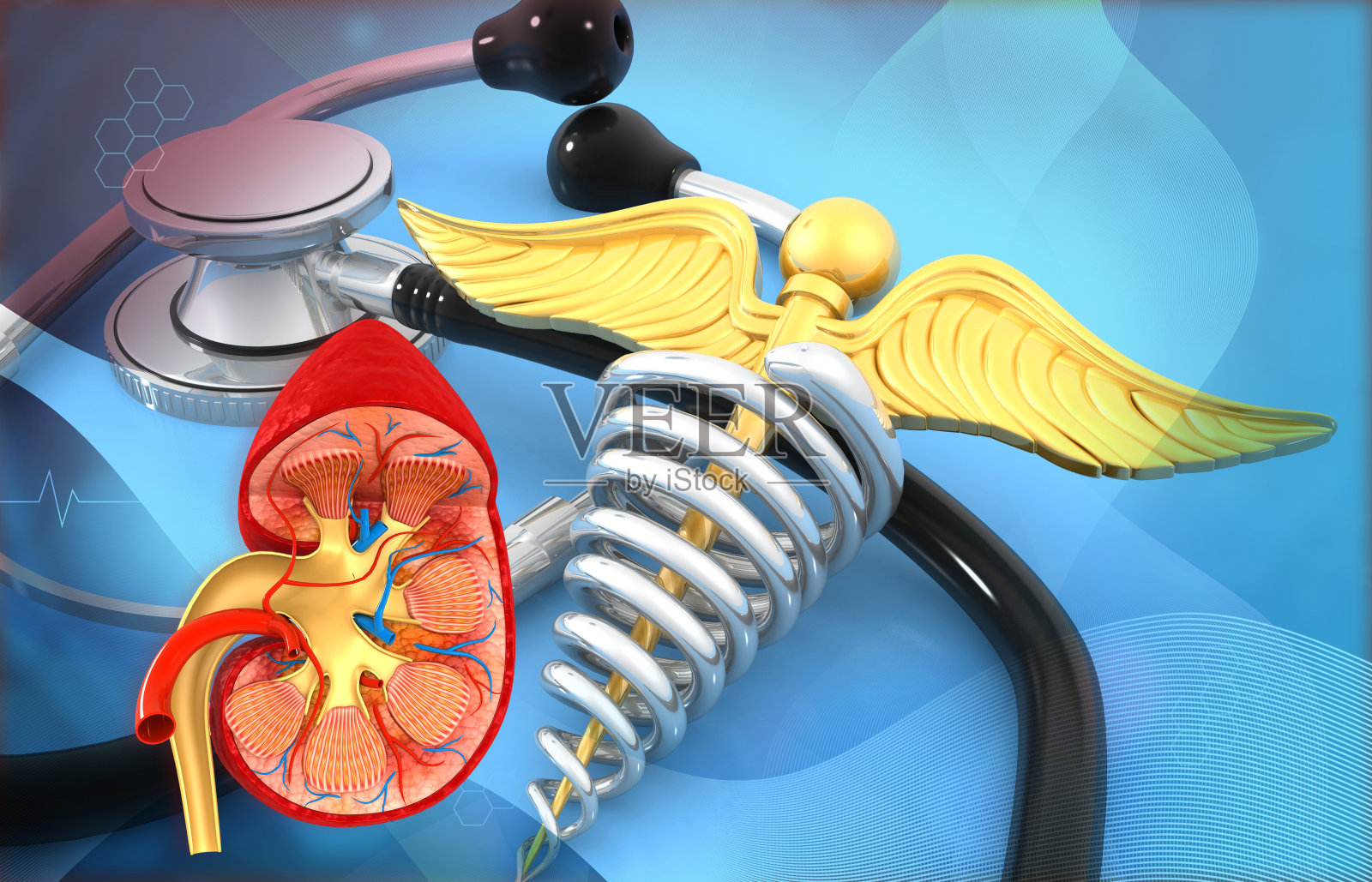 人体肾脏解剖在听诊器和医学墨丘利斯符号背景照片摄影图片