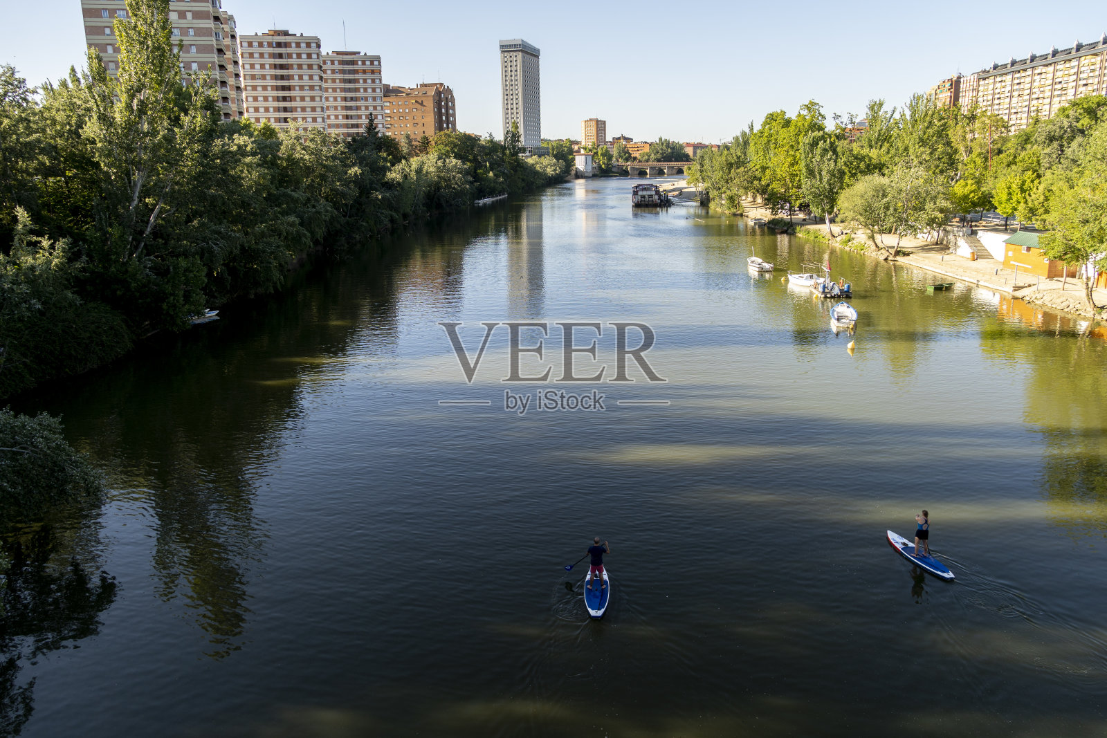 年轻运动员在站立式桨板上划桨照片摄影图片