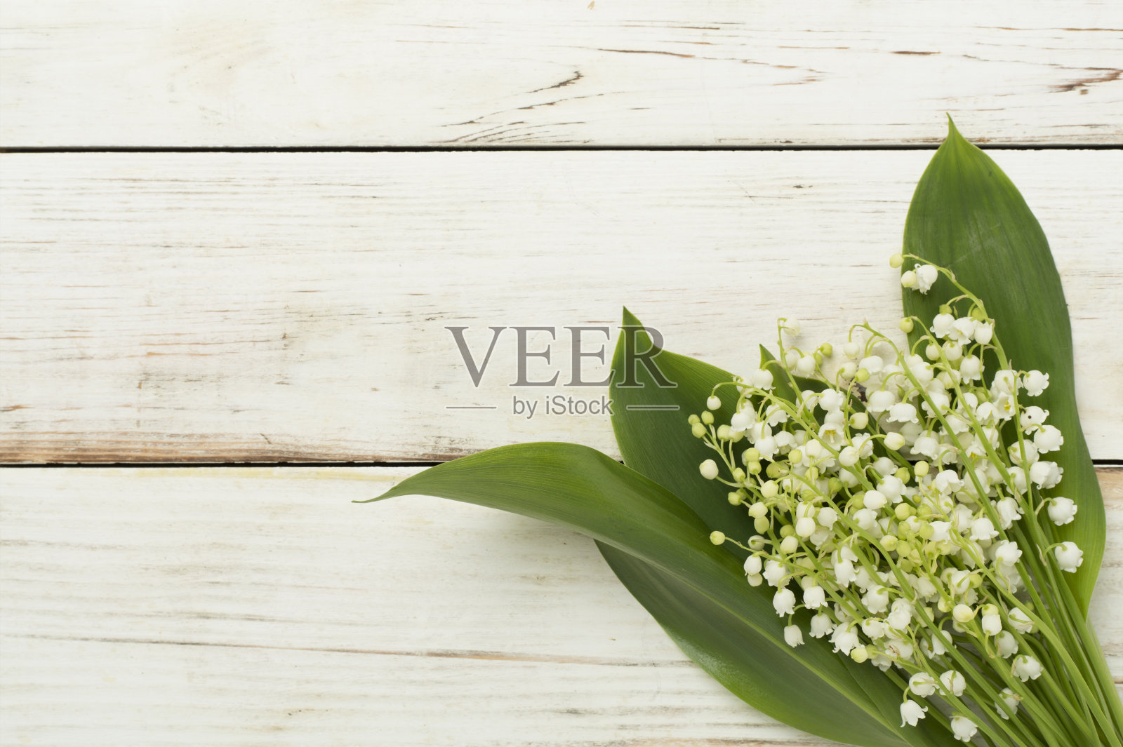 木背景上的山谷百合花，俯视图。照片摄影图片