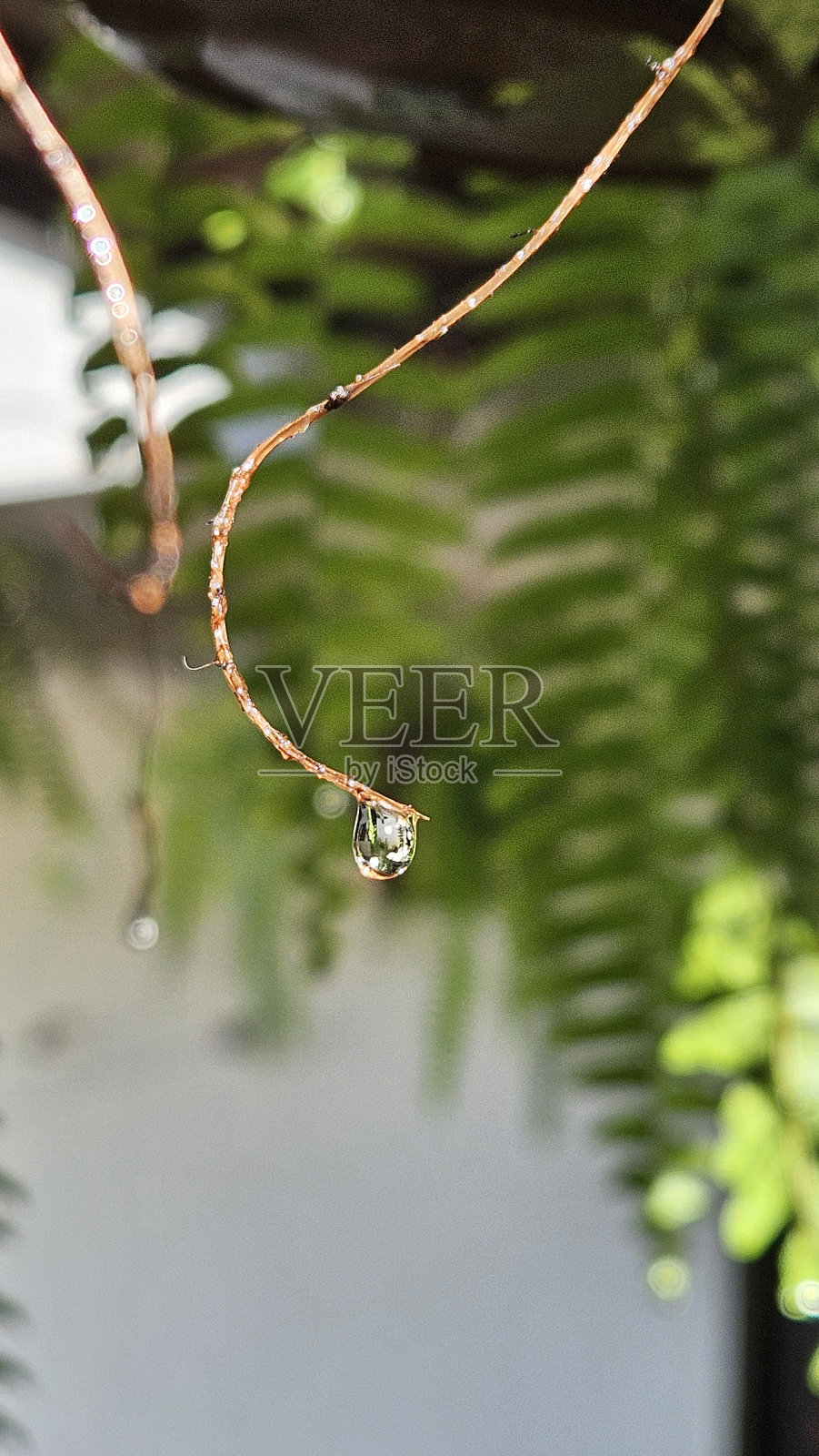 宏观经济下滑照片摄影图片