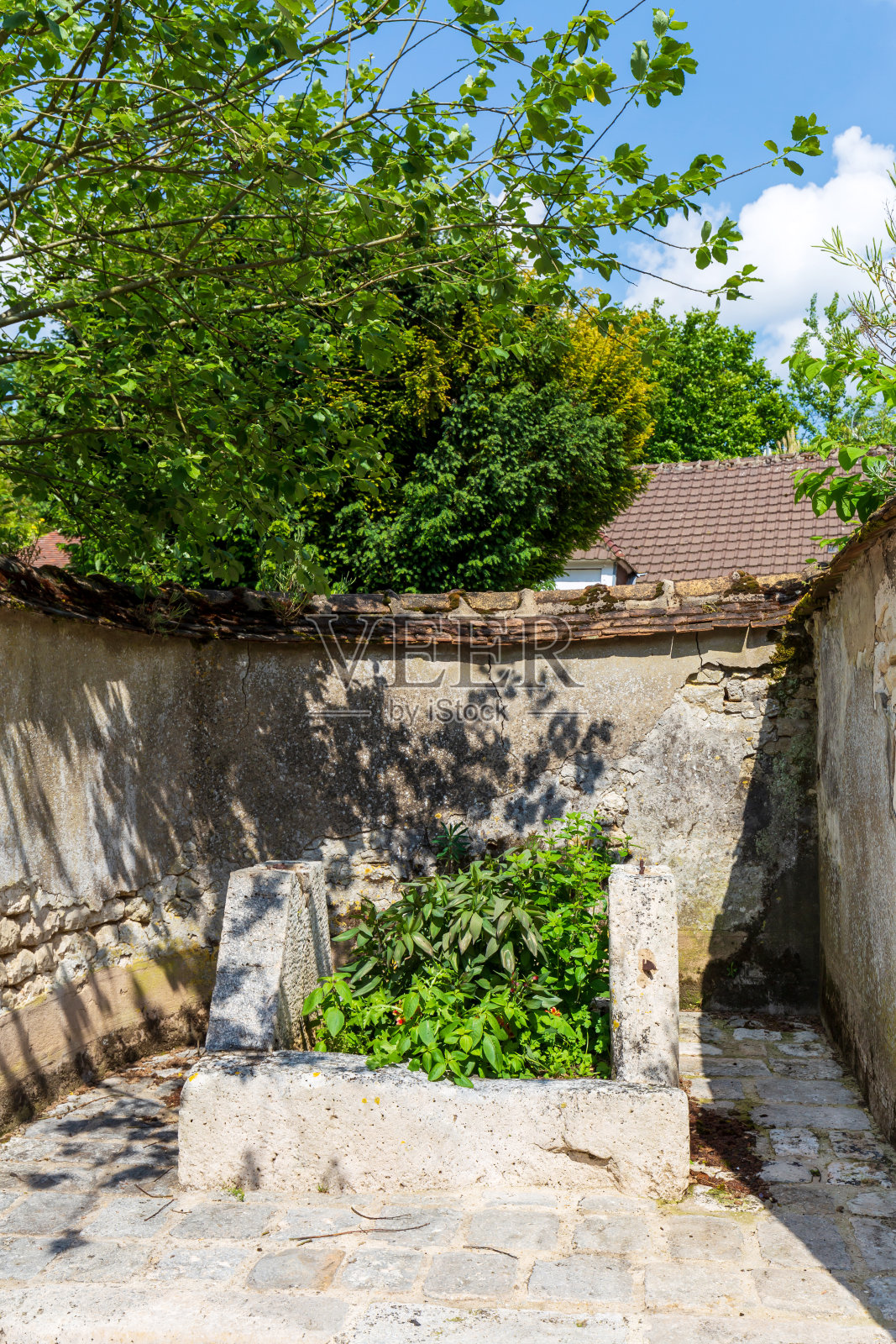 兰登城堡的隐藏花园角落和石头种植园照片摄影图片