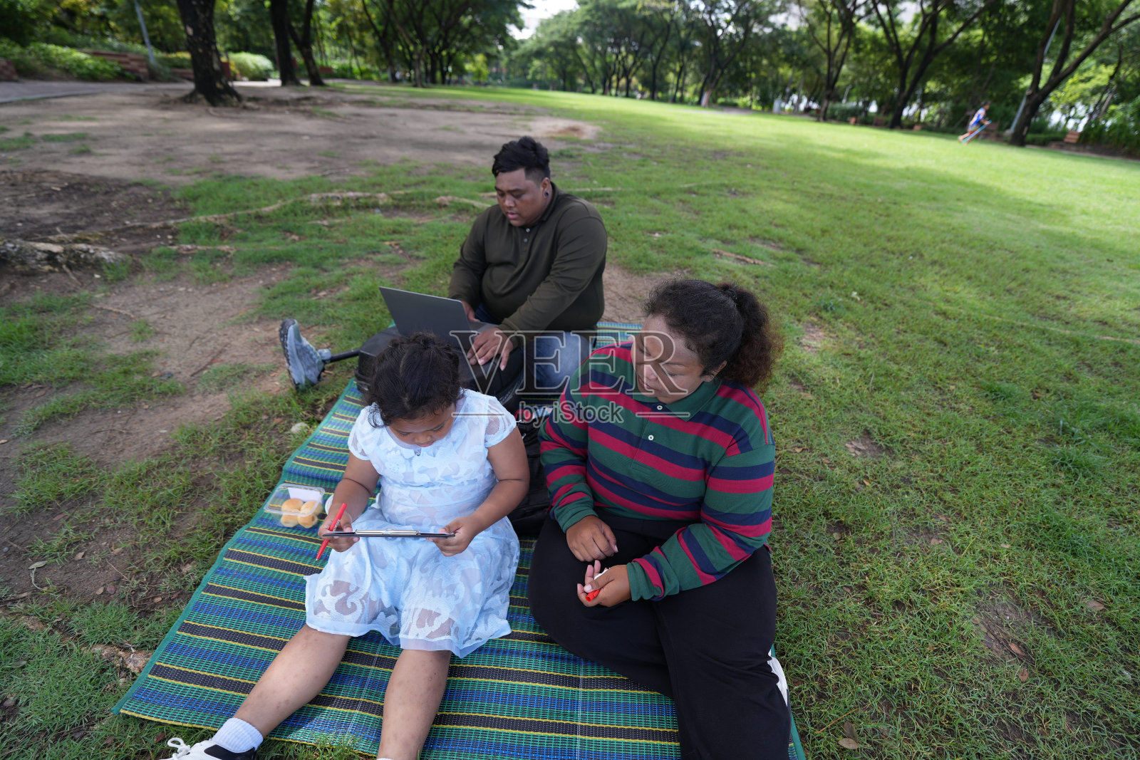 一个又大又胖的亚洲家庭，爸爸、妈妈、女儿在公园里野餐，他们坐着吃零食。他们坐着做作业，互相送花。他们很开心。照片摄影图片