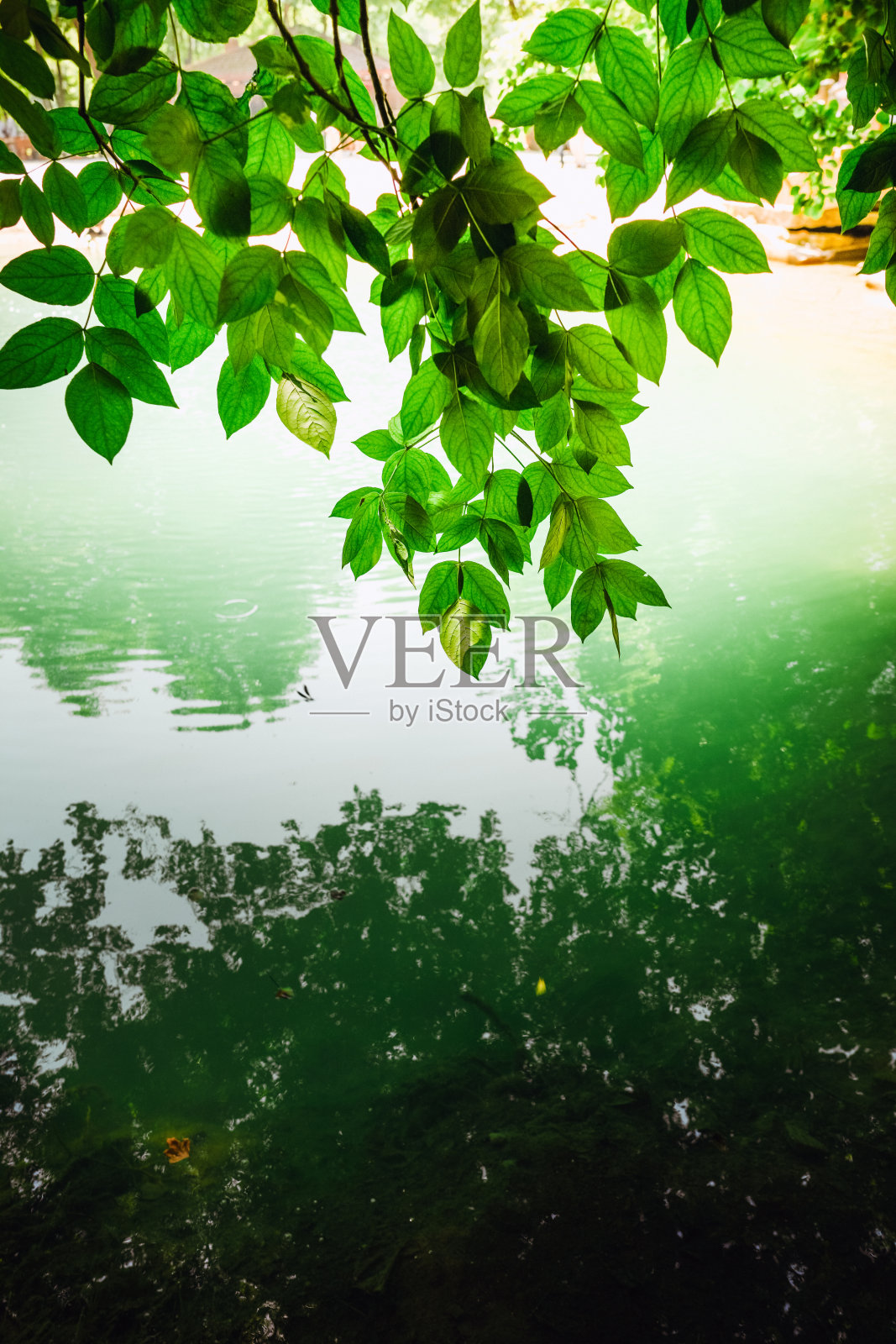 瀑布。土耳其锡诺普，埃尔费勒克，塔特利卡瀑布照片摄影图片