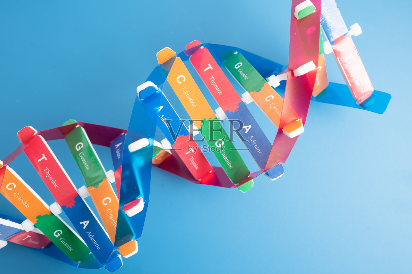 DNA或脱氧核糖核酸是一种双螺旋链结构，由碱基对连接到糖磷酸主链上形成。照片摄影图片