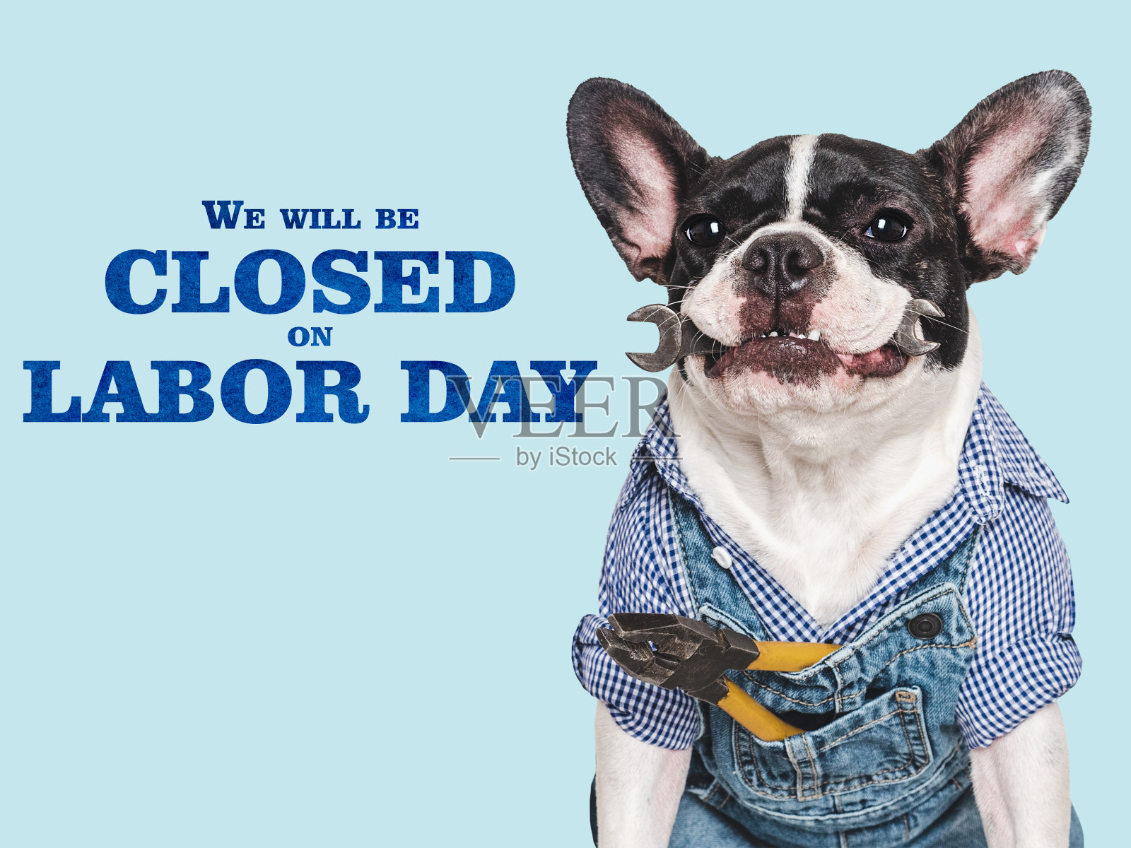 我们劳动节放假照片摄影图片