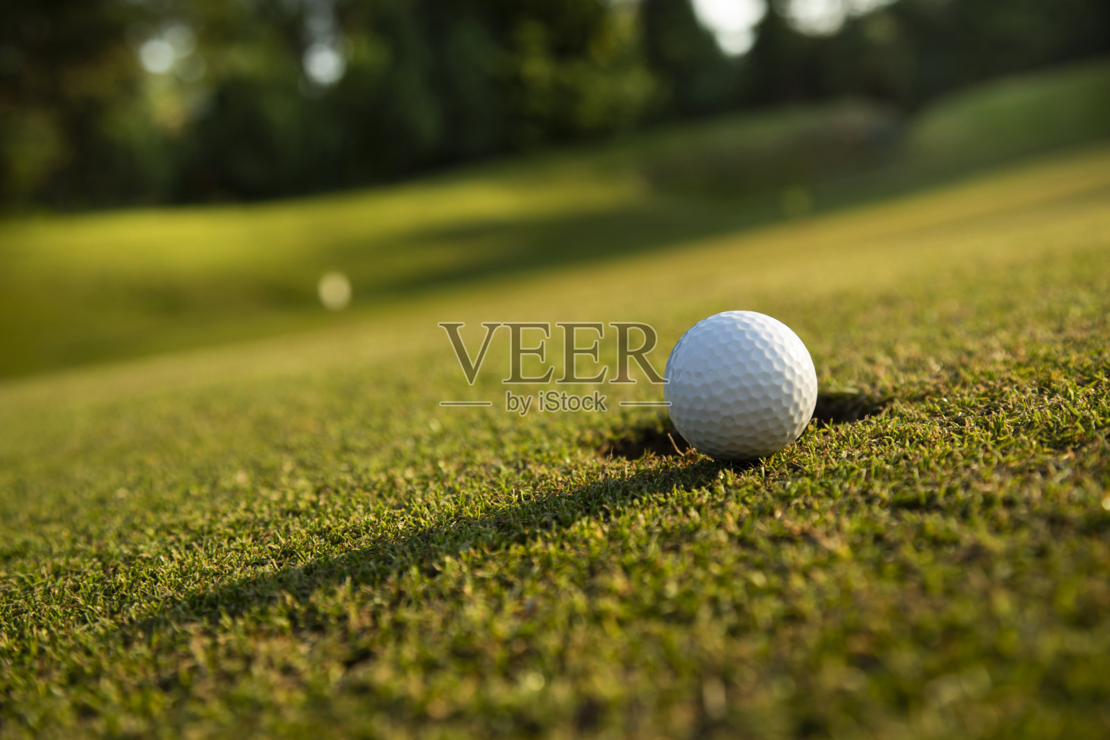 球场上绿草地上的高尔夫球照片摄影图片