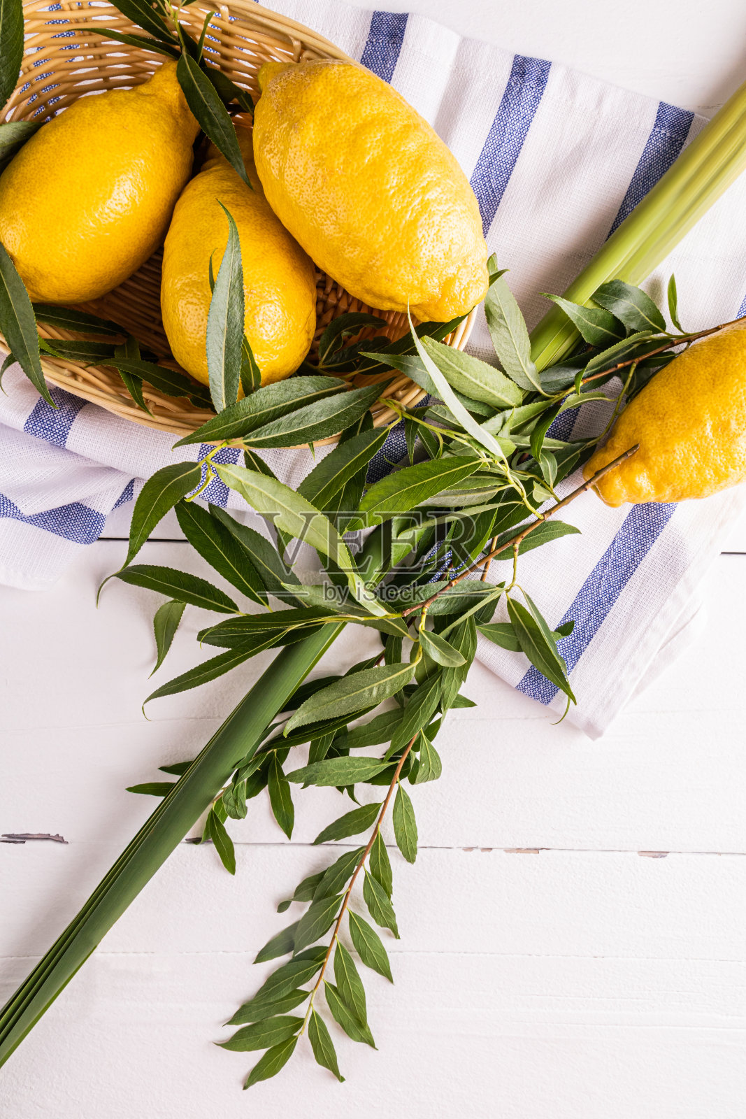 垂直的犹太住棚节的节日背景，传统的象征着欢乐和丰收的节日。梧桐树、柳树、棕榈枝照片摄影图片