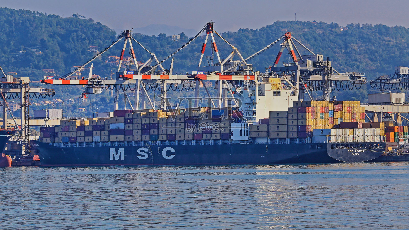 拉斯佩齐亚港Msc照片摄影图片