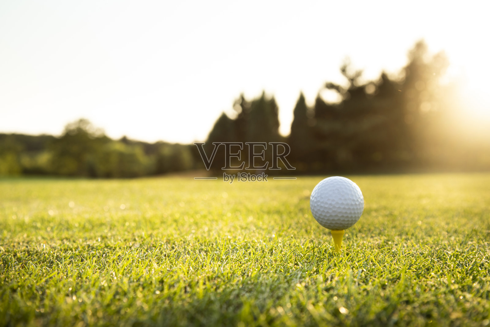 有球和草的高尔夫球场照片摄影图片