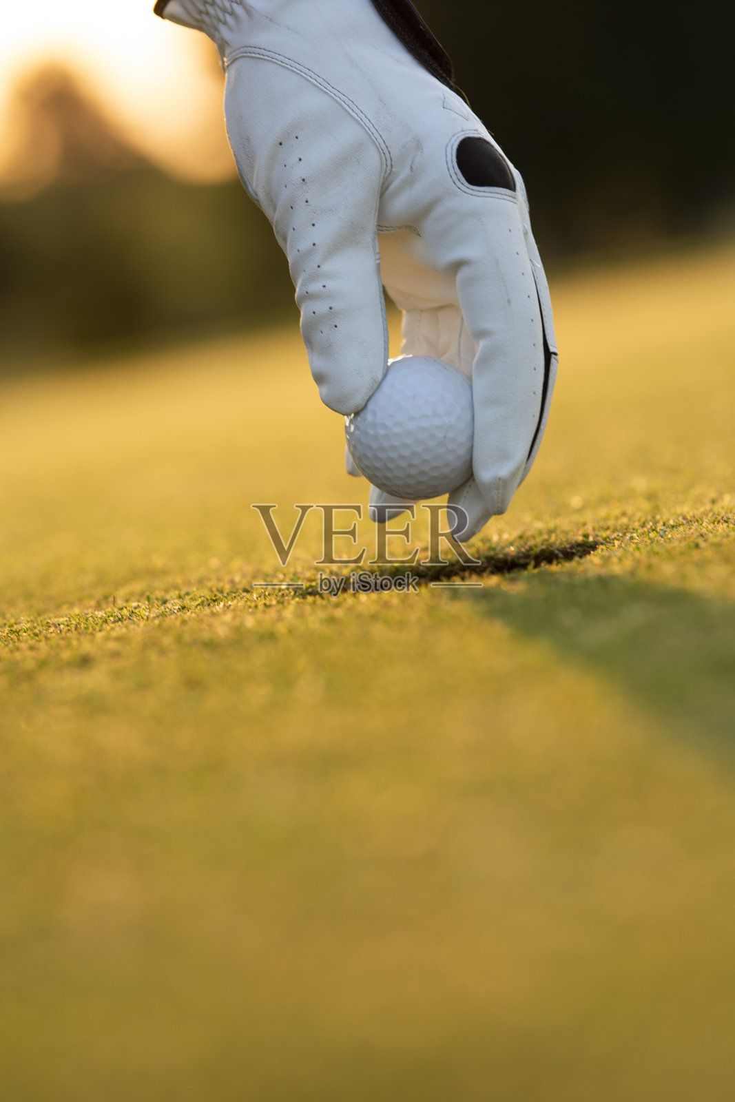 高尔夫球场，球和草在一只手的特写上照片摄影图片