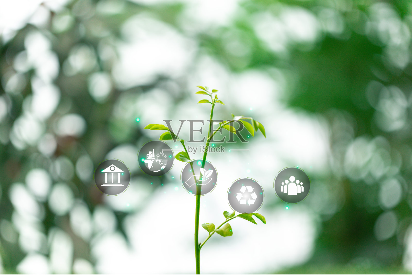 促进可持续能源和绿色做法对于保护地球环境资源和确保健康的全球生态至关重要。地球、生态、环保、可持续、绿色。照片摄影图片