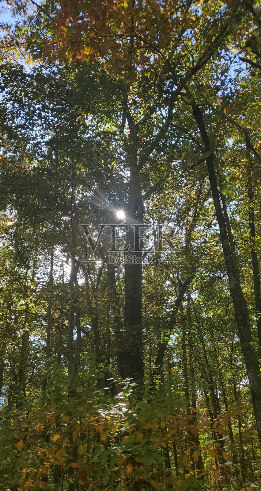 爱在战火蔓延时照片摄影图片