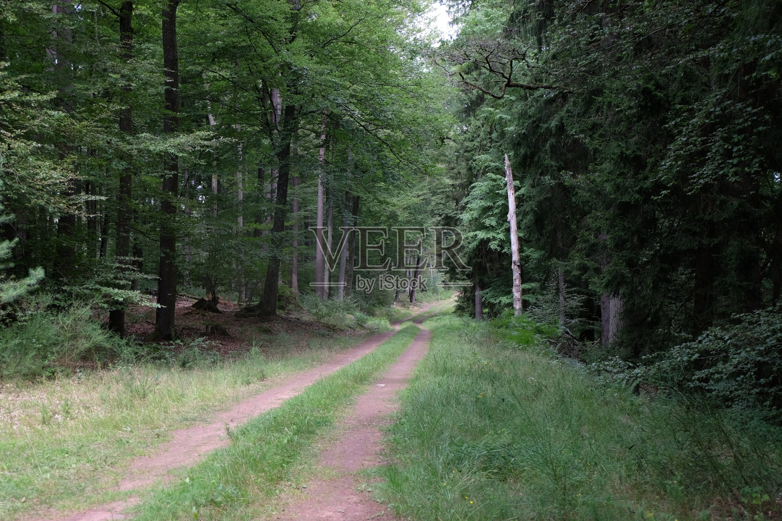 日落和德国乡村照片摄影图片