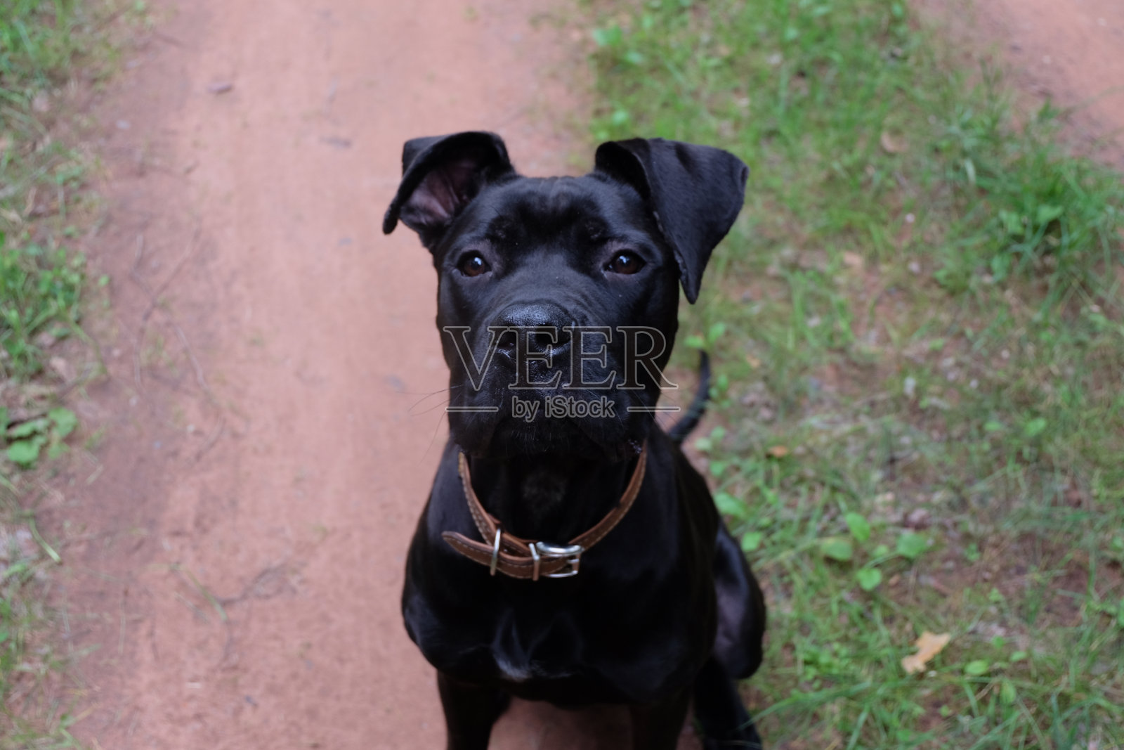 凯恩·科索(布鲁克林)照片摄影图片