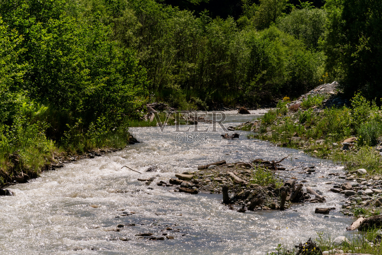 流动的河流，葱郁的绿色植被照片摄影图片
