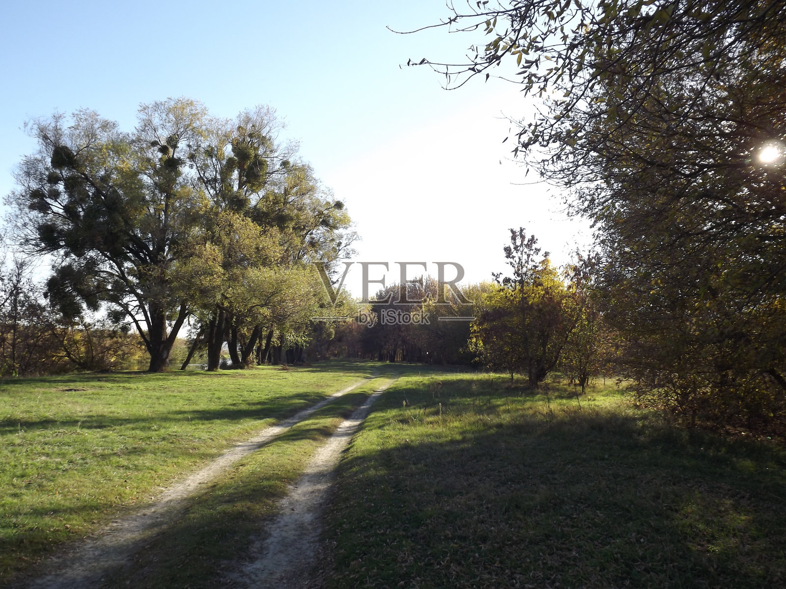 河岸上美丽的秋景。照片摄影图片