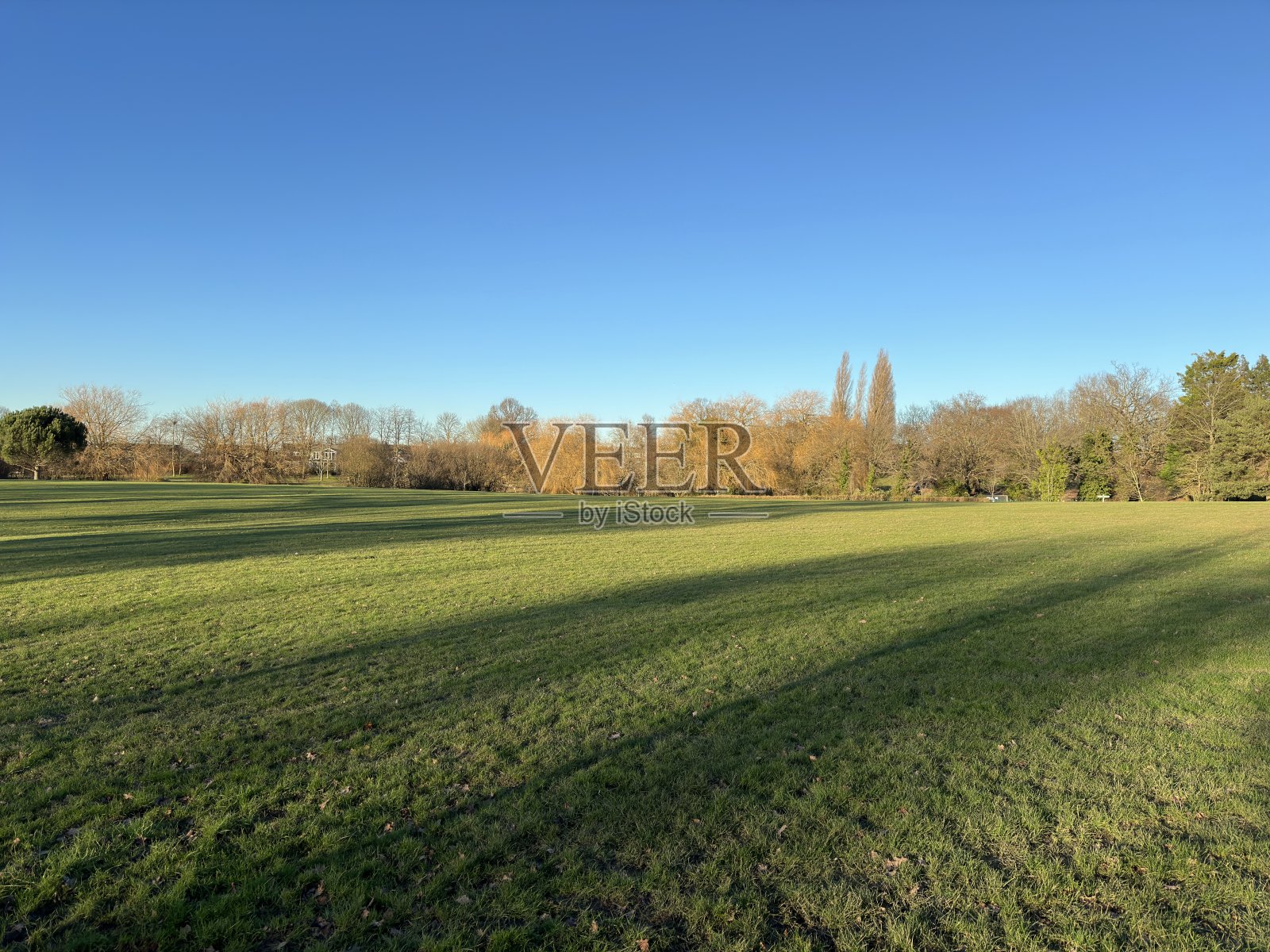 冬天，在英国埃塞克斯比勒里塞的梅多斯湖公园，在碧蓝的天空下，长长的影子落在绿树成荫的地平线上。照片摄影图片