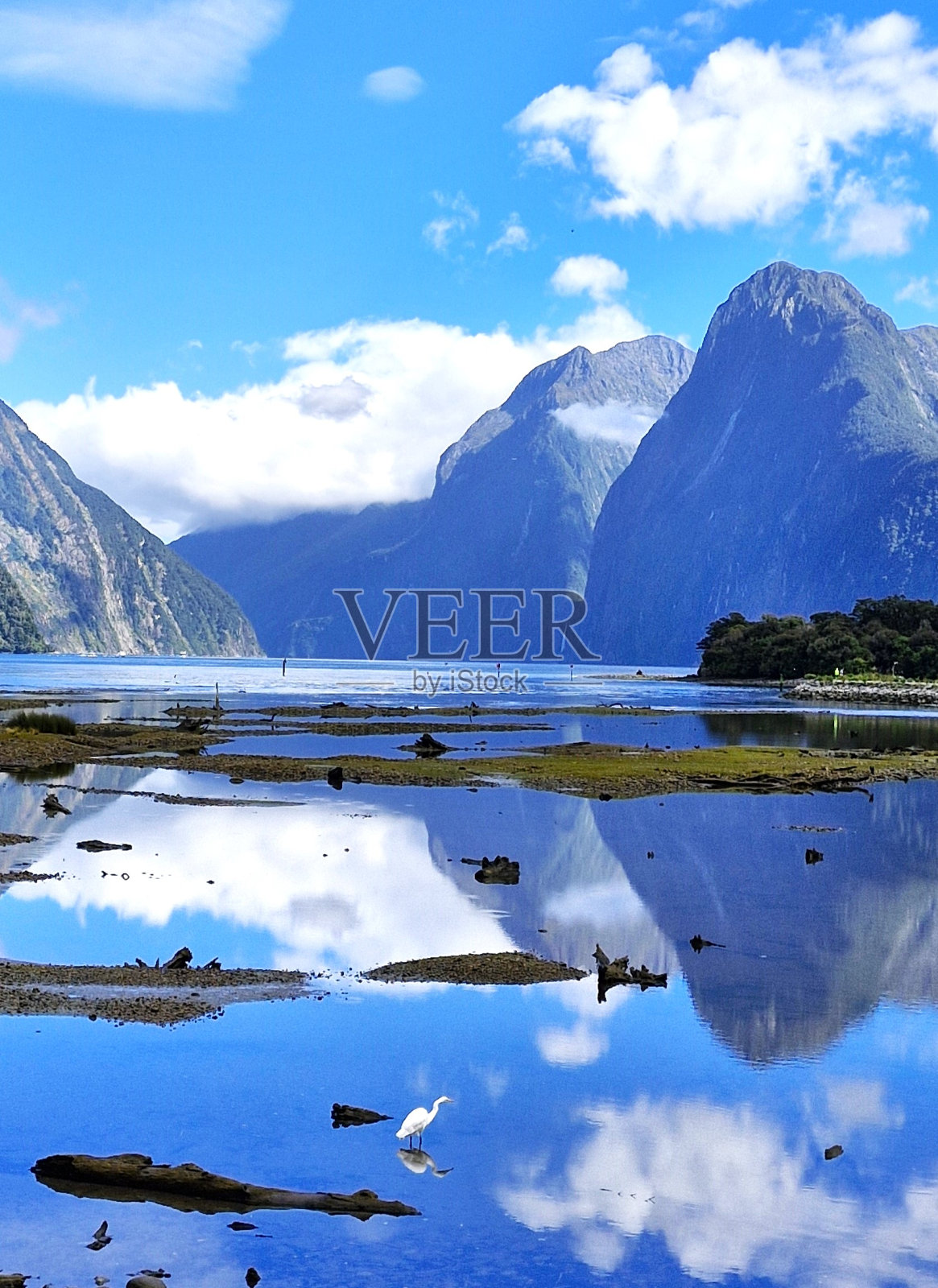 在米尔福德湾打猎照片摄影图片