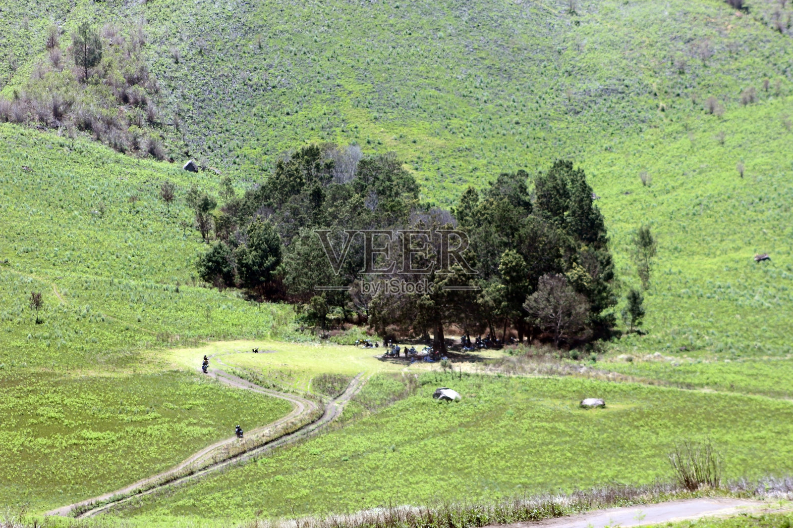 Jemplang山谷，位于Bromo Tengger塞梅鲁国家公园地区的382公顷的稀树草原。照片摄影图片
