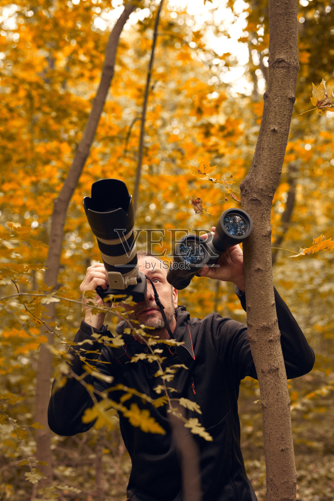 人们用双筒望远镜和照相机观察鸟类和其他自然界的动物。照片摄影图片
