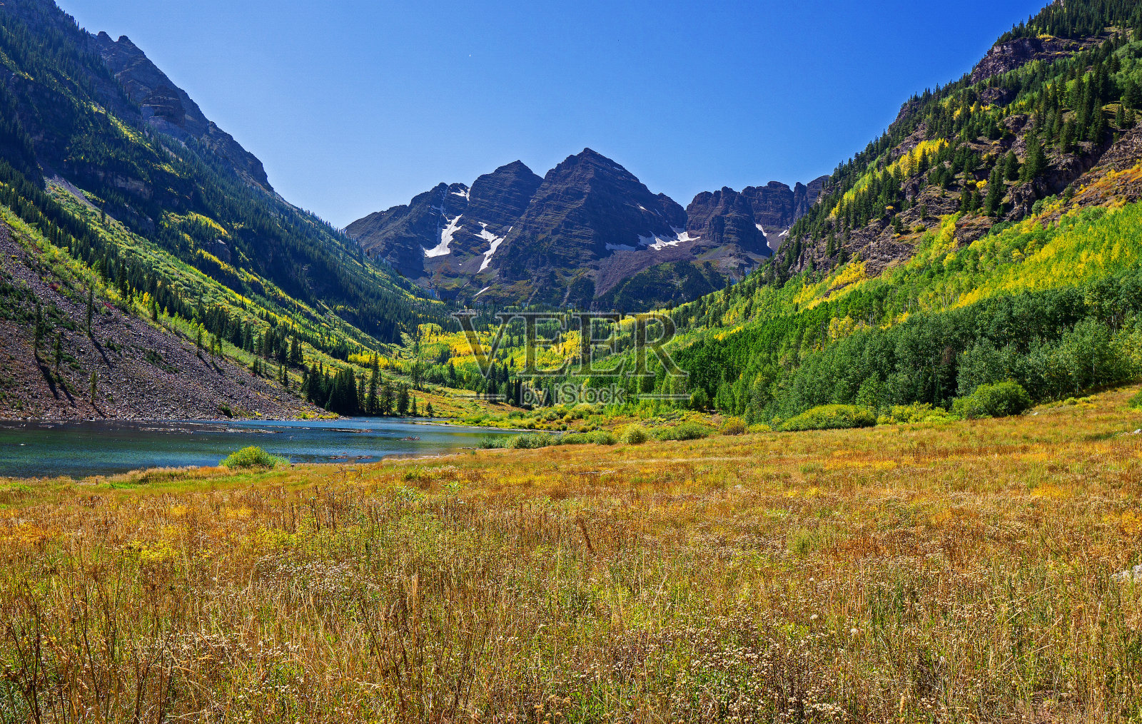 落在栗色钟照片摄影图片