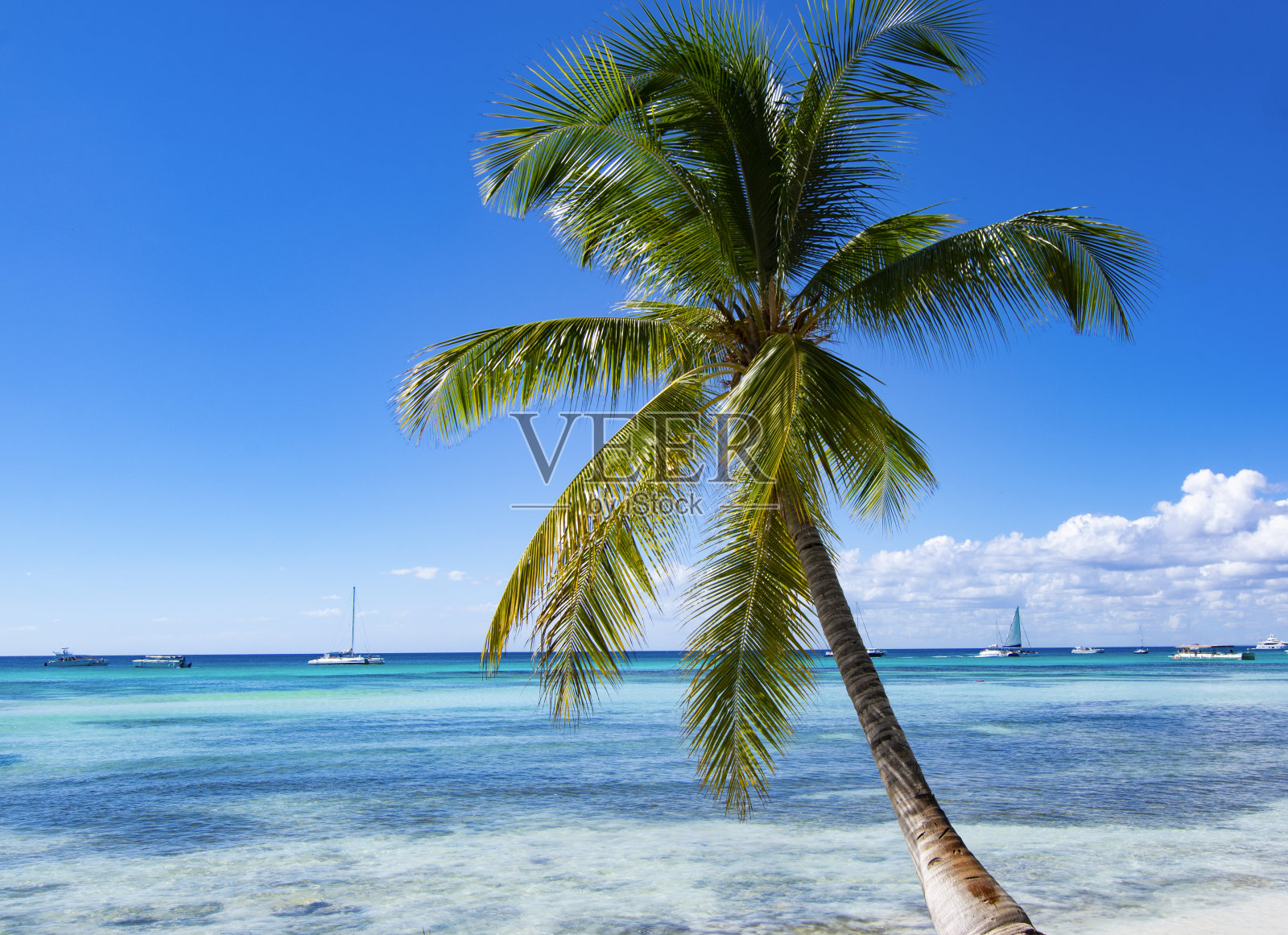 多米尼加共和国卡图亚诺的热带海滩照片摄影图片