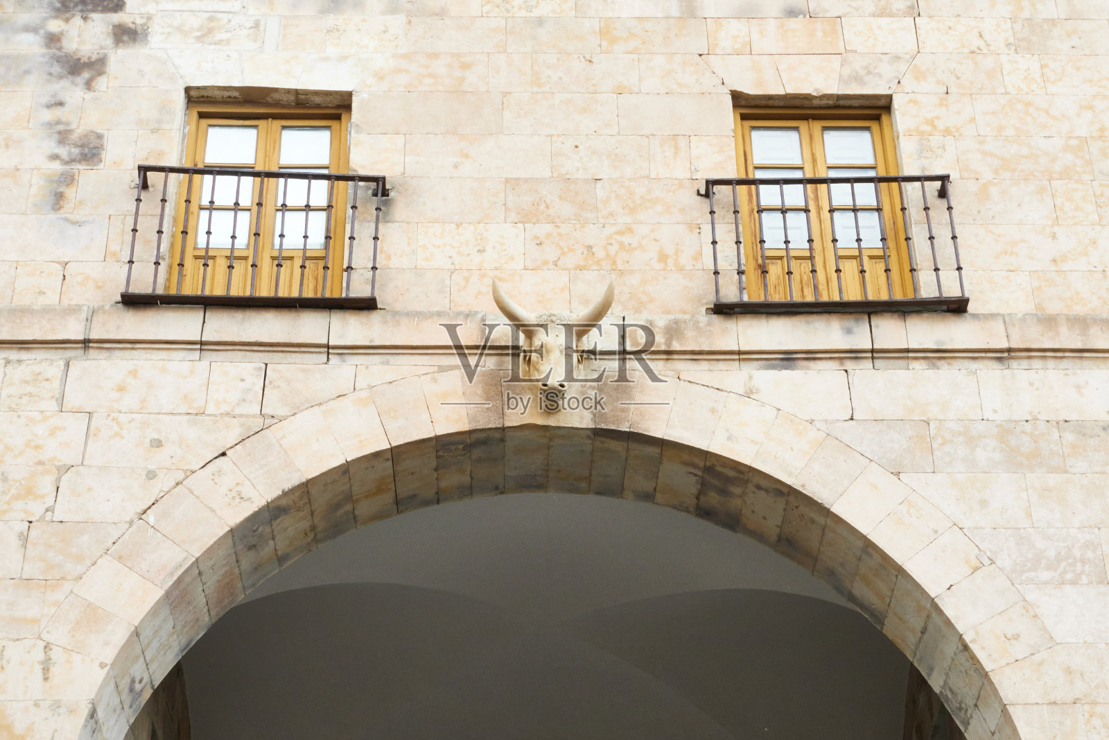 正面雕刻的公牛头照片摄影图片