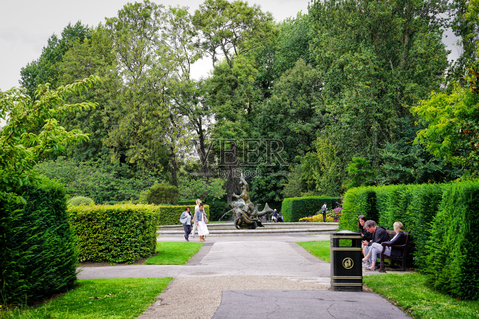 英国伦敦摄政公园的黄杨木,草地和几何形状的装饰树照片摄影图片