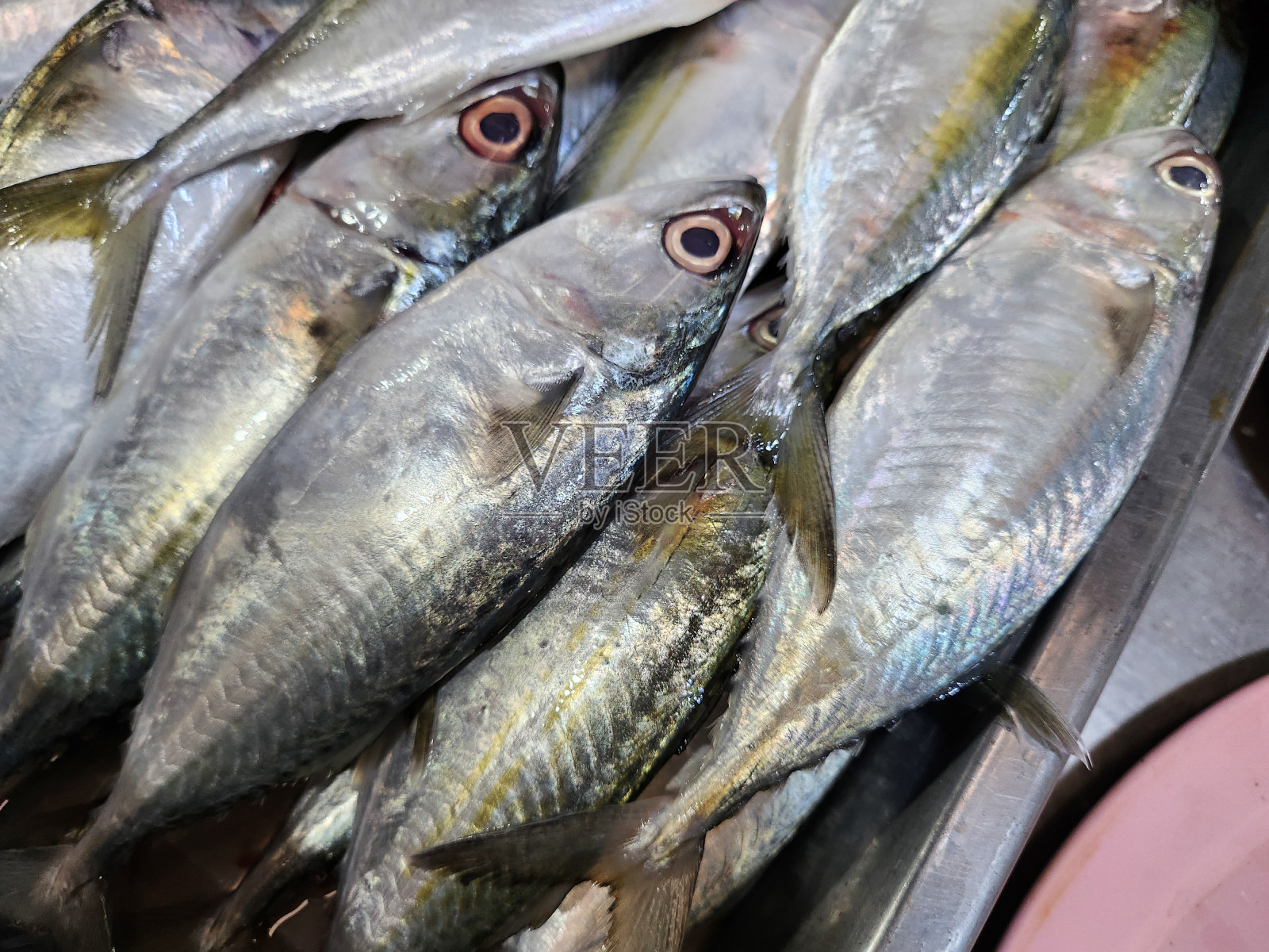 新鲜生鱼的特写照片摄影图片