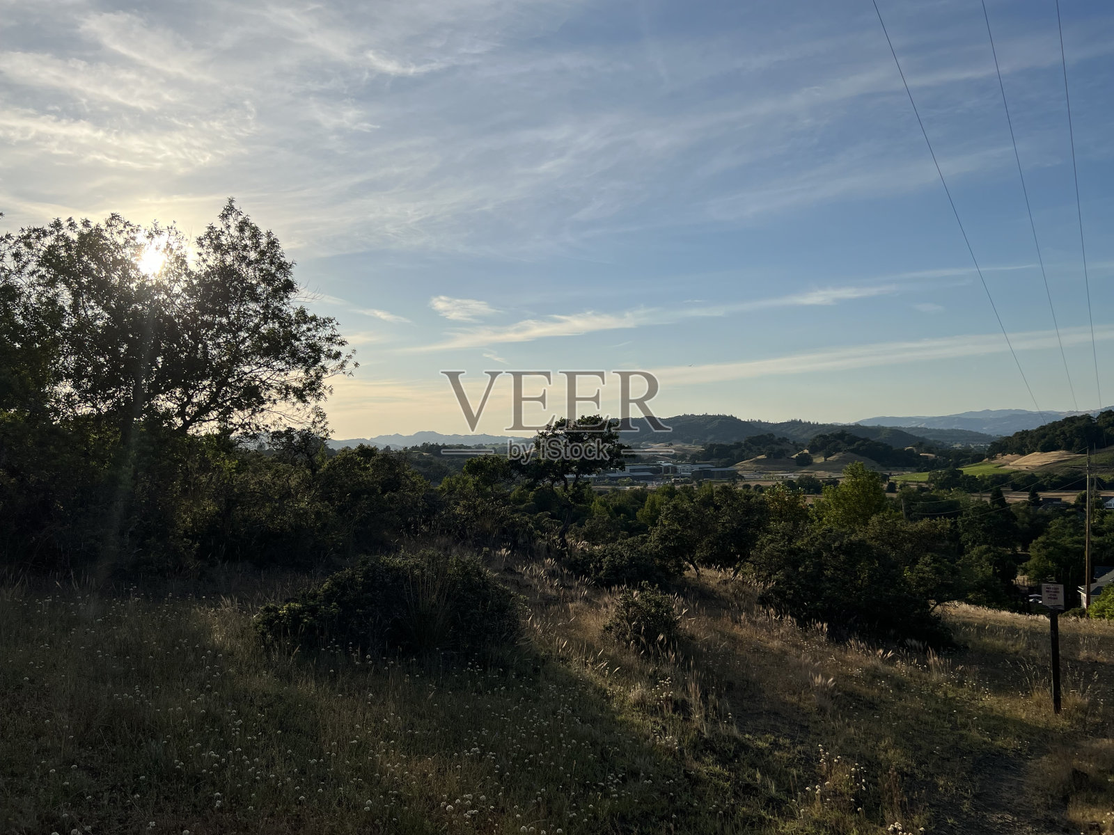 希尔兹堡岭开放空间保护区，索诺玛县，加利福尼亚州照片摄影图片