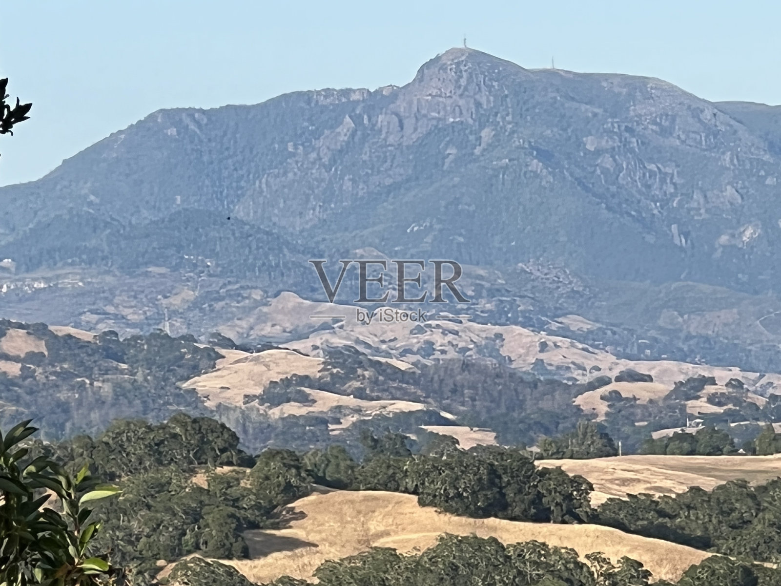 希尔兹堡岭开放空间保护区，索诺玛县，加利福尼亚州照片摄影图片