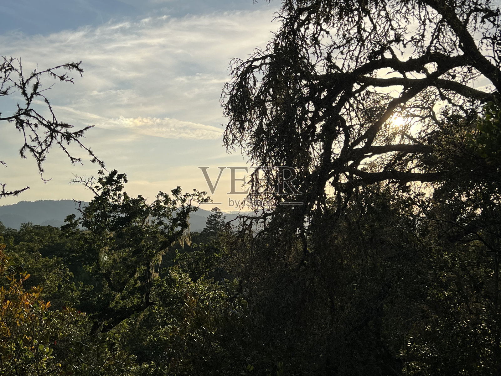 希尔兹堡岭开放空间保护区，索诺玛县，加利福尼亚州照片摄影图片