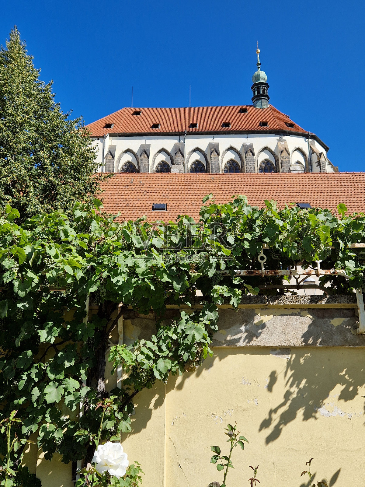 玛丽亚雪教堂Kostel Panny Marie Sněžné在布拉格，捷克共和国，在一个阳光明媚的日子照片摄影图片