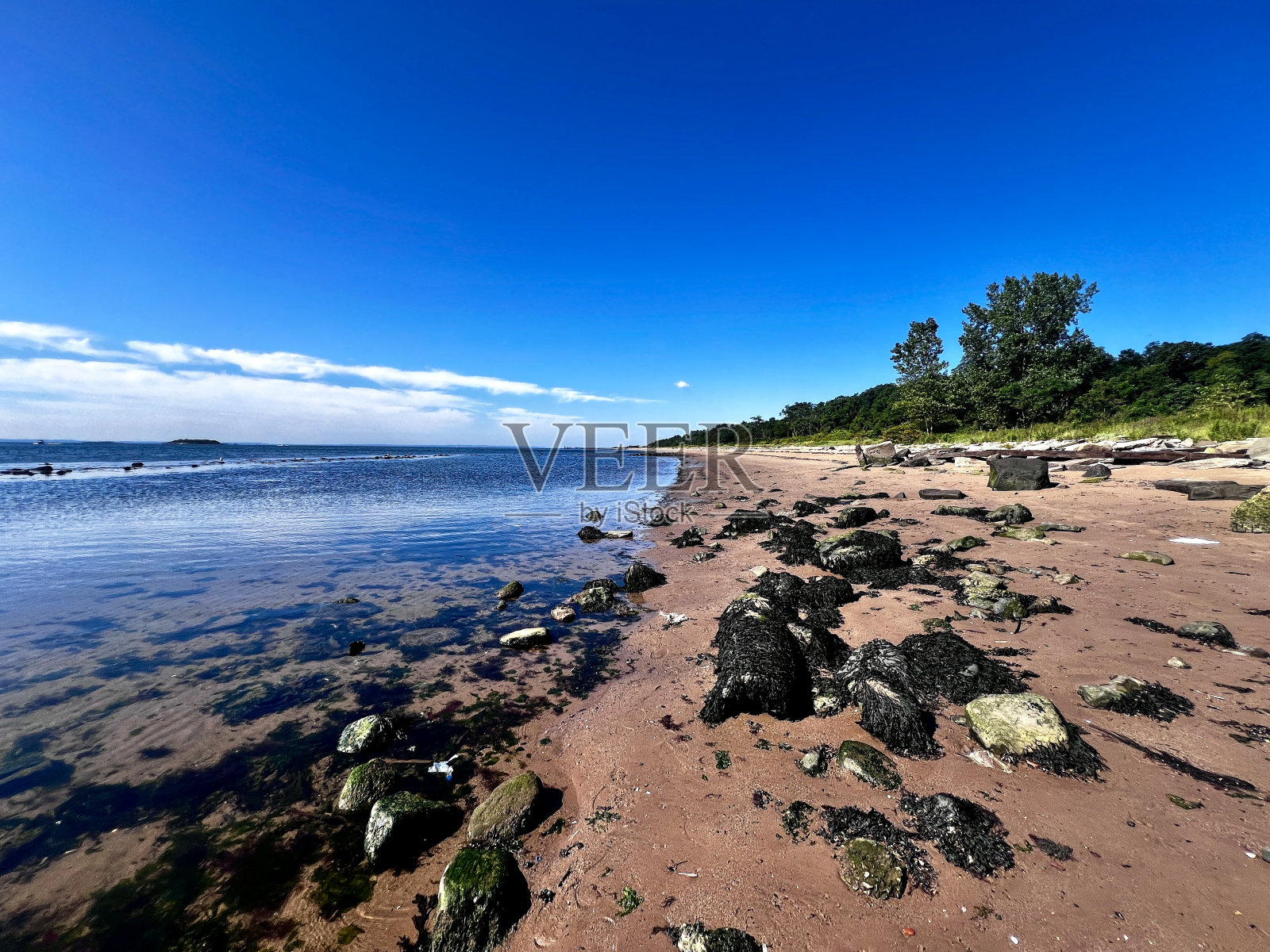 海滨公园照片摄影图片