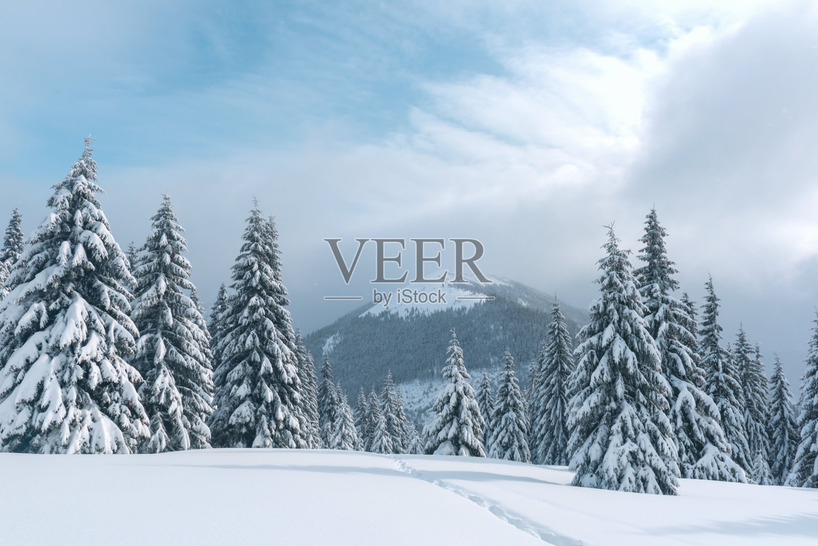 奇妙的冬季景观照片摄影图片