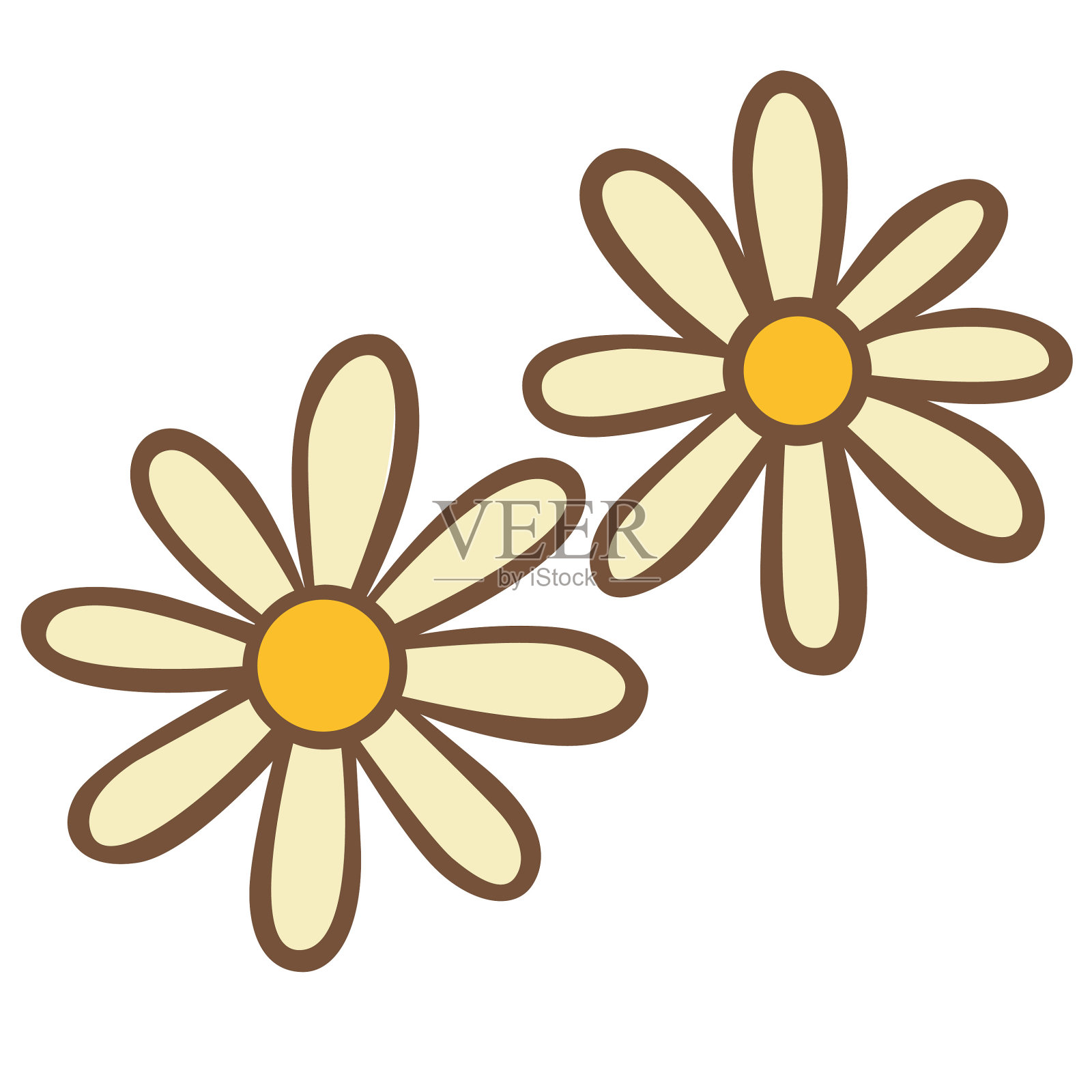 浅黄色雏菊花皮设计插图装饰花园和浪漫事件。插画图片素材