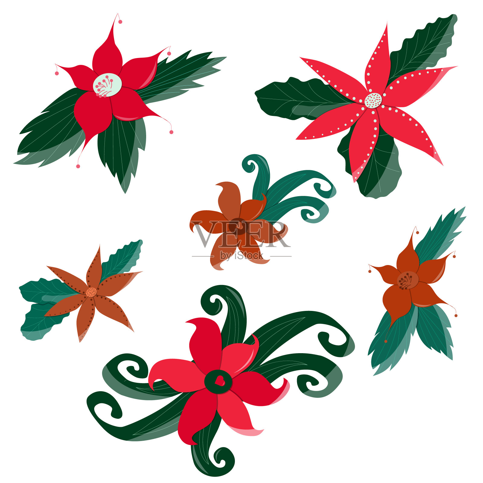 圣诞花集，绘制矢量集，圣诞花集用于装饰，装饰元素插画图片素材