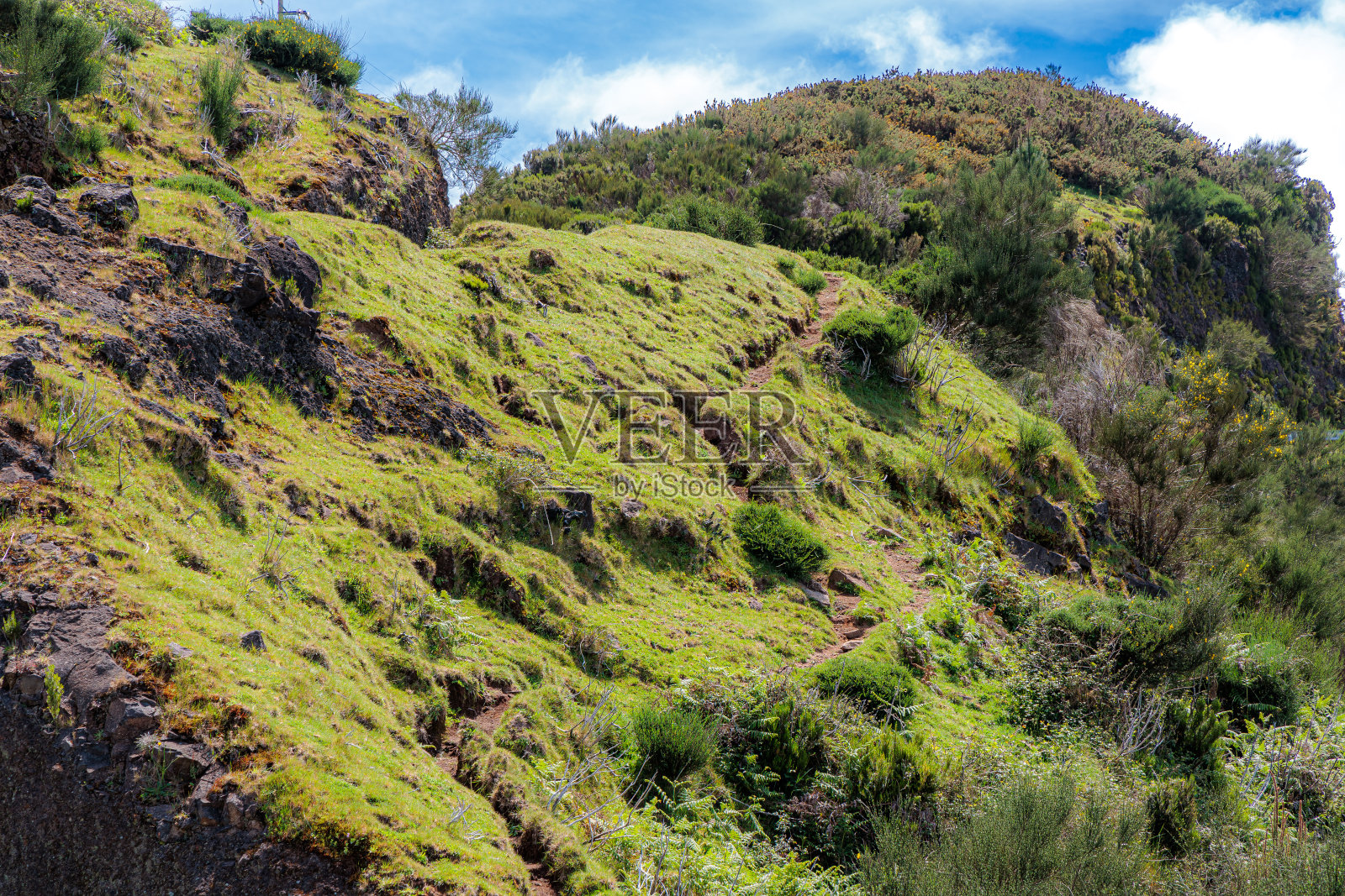 马德拉岛Barragem do Pico da Urze水库周围的景观照片摄影图片