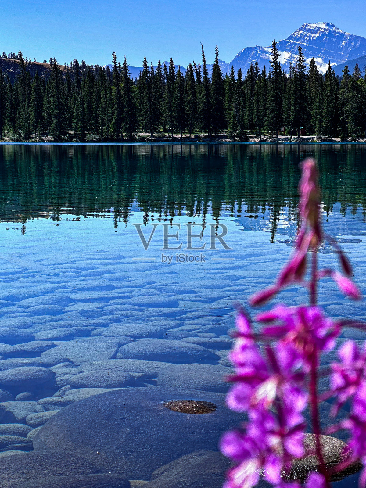 波伏娃湖倒影场景照片摄影图片