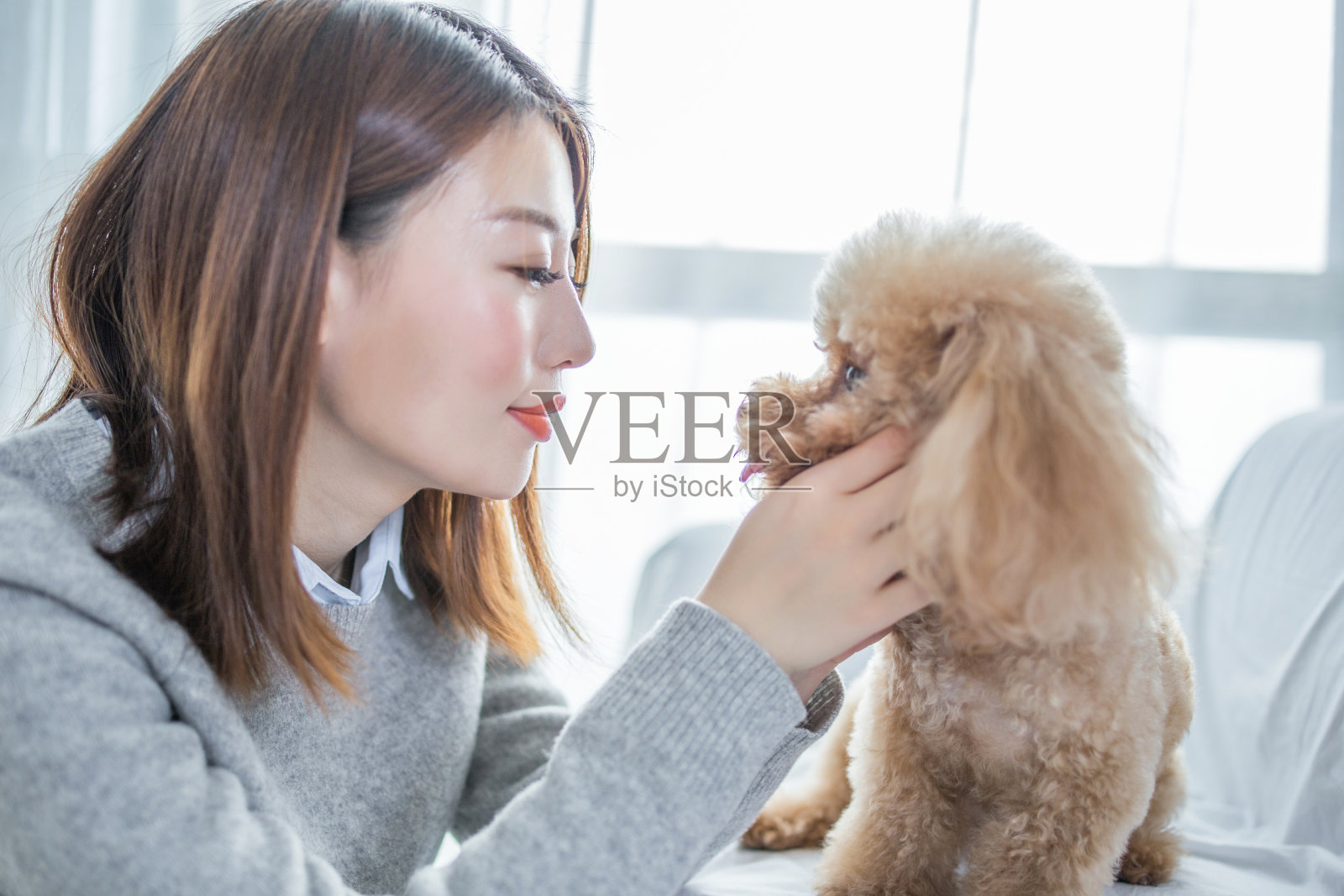和可爱的小狗玩耍的女人照片摄影图片