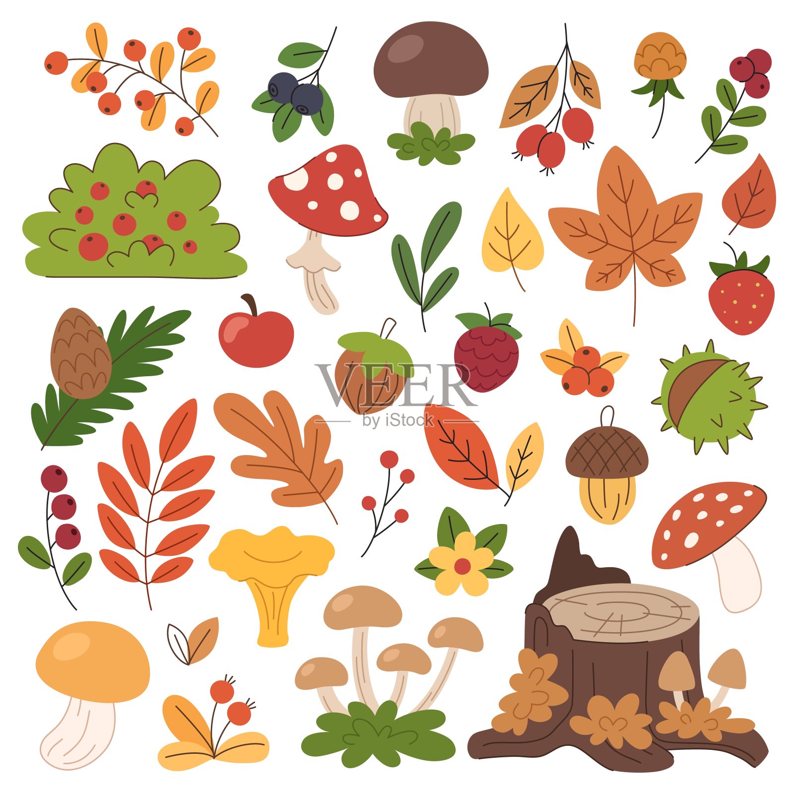 森林秋季元素集。蘑菇，叶子，浆果和果实，树桩用蘑菇，森林收获。插画图片素材
