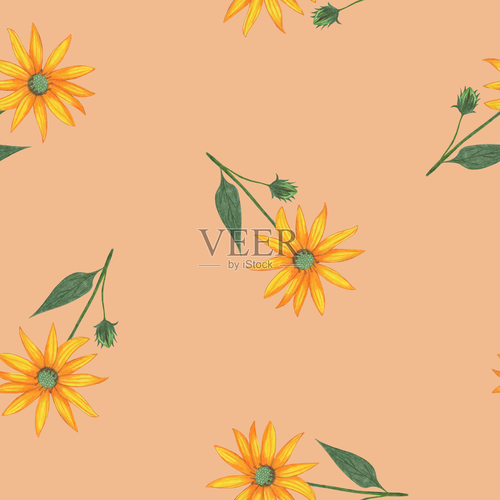 Topinambur花无缝图案。花卉数码纸。插画图片素材