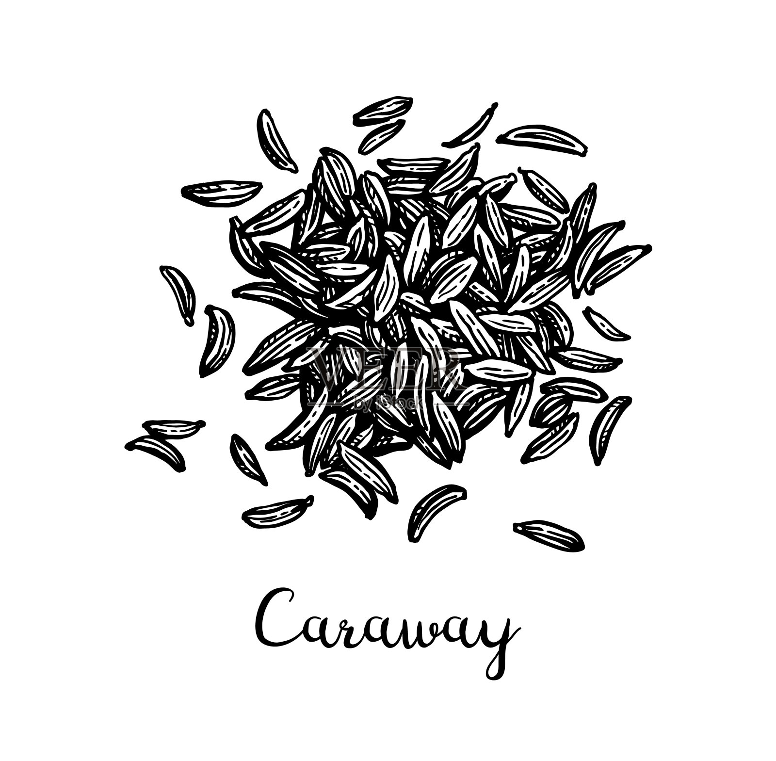 葛缕子水墨写生。插画图片素材