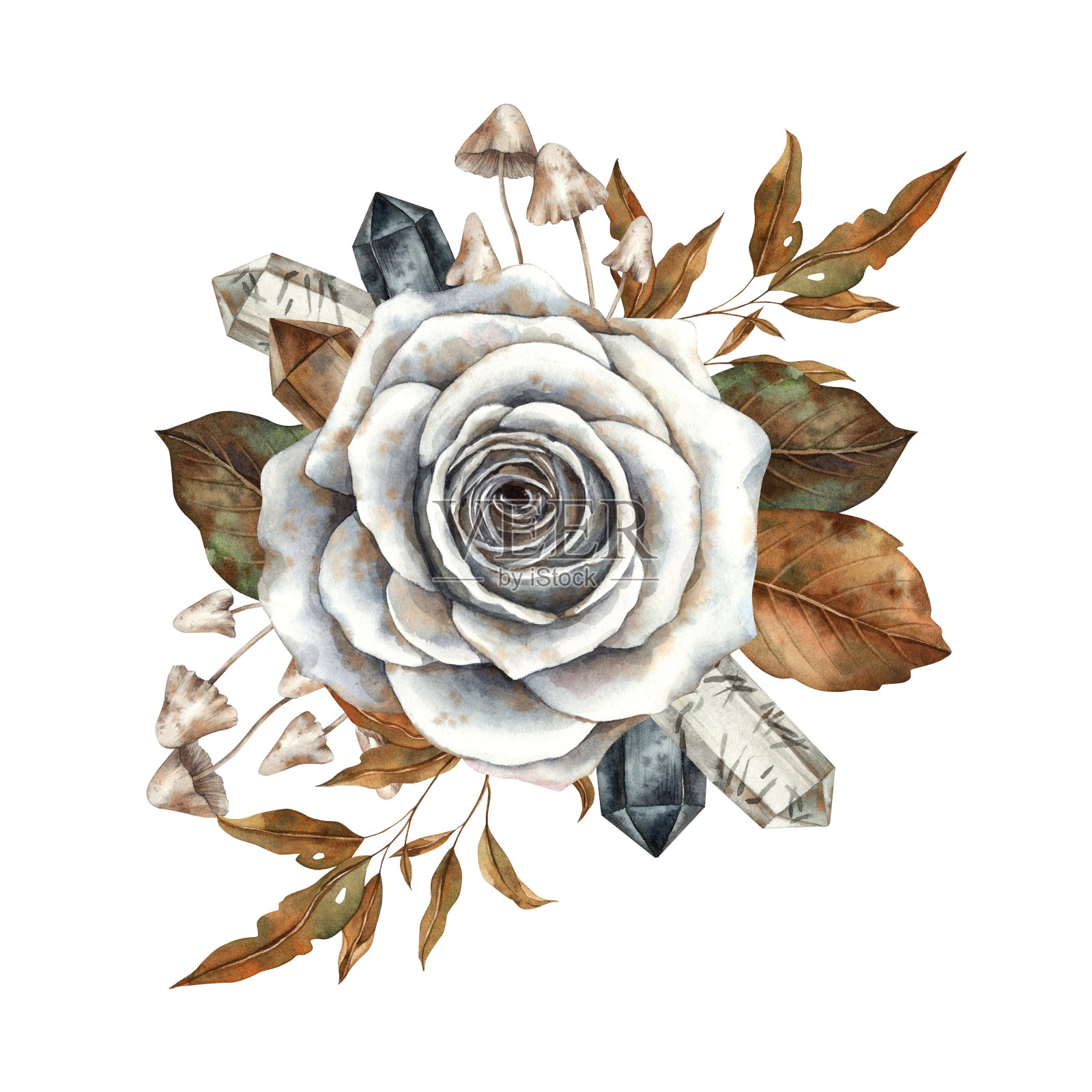 复古白玫瑰，干燥的秋叶，蘑菇和闪亮的水晶。手绘水彩插图孤立的背景。插图适用于万圣节，卡片，包装，贴纸。插画图片素材