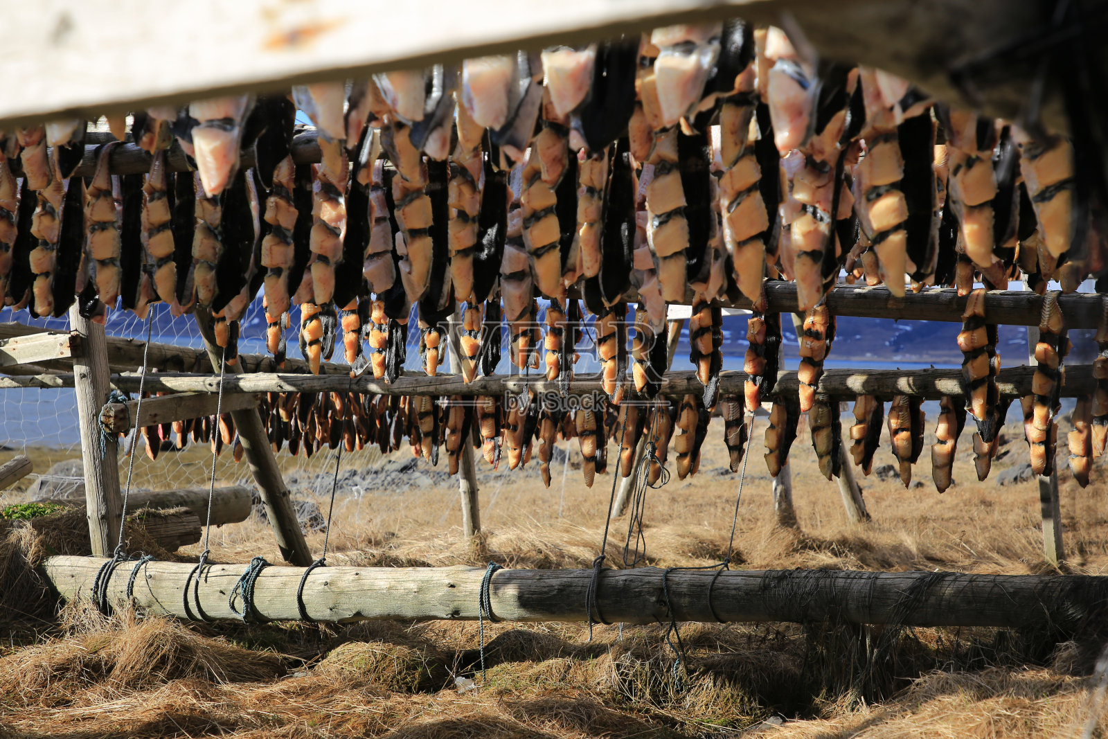 冰岛照片摄影图片